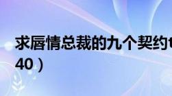 求唇情总裁的九个契约txt全（发至405001840）