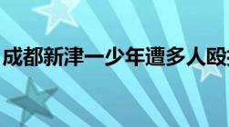 成都新津一少年遭多人殴打聚众斗殴如何处罚