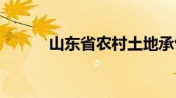 山东省农村土地承包法实施细则