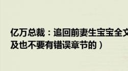 亿万总裁：追回前妻生宝宝全文txt格式.（不要发不完整的及也不要有错误章节的）