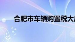 合肥市车辆购置税大厅电话号码多少