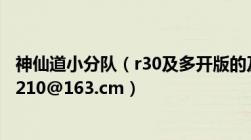 神仙道小分队（r30及多开版的及能用立马给分及邮箱njnj8210@163.cm）