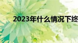 2023年什么情况下终止人大代表资格