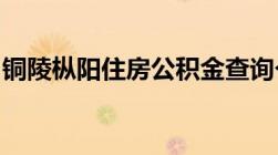 铜陵枞阳住房公积金查询个人账户方式有哪些