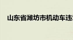 山东省潍坊市机动车违章扣分如何查询呢