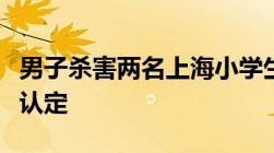 男子杀害两名上海小学生判死刑故意杀人如何认定