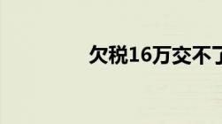 欠税16万交不了要判刑么