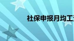 社保申报月均工资什么意思