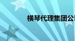 横琴代理集团公司注册流程