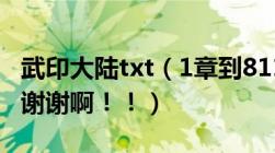 武印大陆txt（1章到811章全集下载及完整版谢谢啊！！）