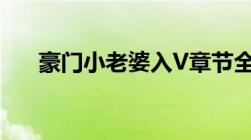 豪门小老婆入V章节全文TXT格式下载