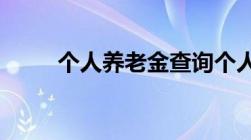 个人养老金查询个人账户查询系统