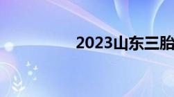 2023山东三胎计生罚款