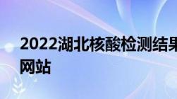 2022湖北核酸检测结果查询入口（小程序+网站