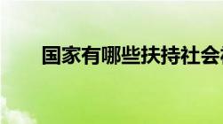 国家有哪些扶持社会福利企业的政策