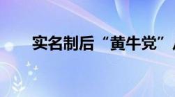 实名制后“黄牛党”从车站转战网络