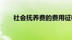 社会抚养费的费用征收标准是怎么的