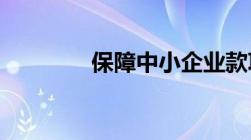 保障中小企业款项支付条例