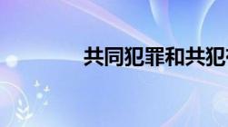 共同犯罪和共犯有什么区别