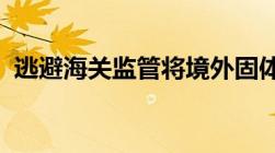 逃避海关监管将境外固体废物运输出境构成