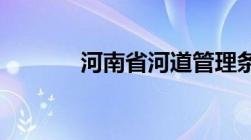 河南省河道管理条例实施细则