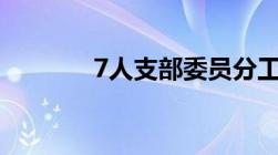 7人支部委员分工及主要责任