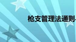 枪支管理法通则与处罚办法