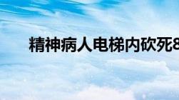 精神病人电梯内砍死8岁男童怎么判刑