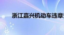 浙江嘉兴机动车违章查询方法有哪些