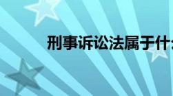 刑事诉讼法属于什么类型的法律