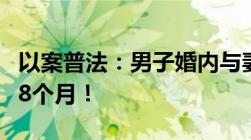 以案普法：男子婚内与妻子强行发生关系获刑8个月！