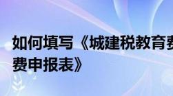 如何填写《城建税教育费附加地方教育附加税费申报表》