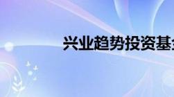 兴业趋势投资基金分析报告