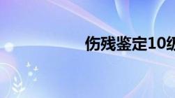 伤残鉴定10级的标准