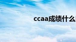 ccaa成绩什么时候出来