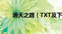 通天之路（TXT及下载及无罪写的）