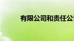 有限公司和责任公司区别是什么