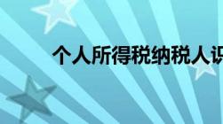 个人所得税纳税人识别号怎么查询