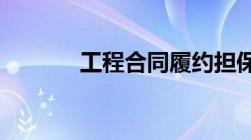 工程合同履约担保金额是什么