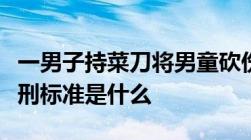 一男子持菜刀将男童砍伤致死故意杀人罪的量刑标准是什么