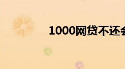 1000网贷不还会被起诉吗