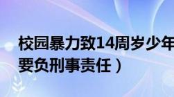 校园暴力致14周岁少年死亡（施暴少年要不要负刑事责任）