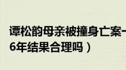 谭松韵母亲被撞身亡案一审宣判（肇事者获刑6年结果合理吗）