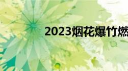 2023烟花爆竹燃放规定最新