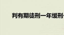 判有期徒刑一年缓刑一年是什么意思