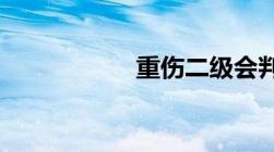 重伤二级会判多少年