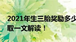 2021年生三胎奖励多少钱有哪些补贴怎么领取一文解读！