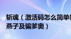 斩魂（激活码怎么简单领取及别TM和我说与燕子及骗爹奥）