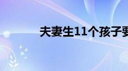 夫妻生11个孩子要缴多少罚款