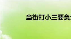 当街打小三要负法律责任吗